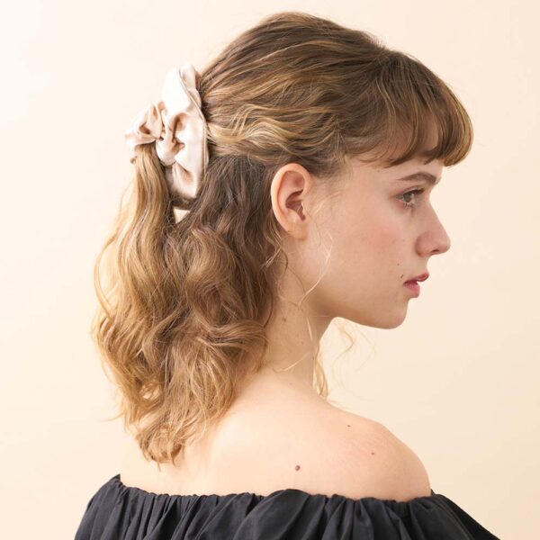 Alexandre de Paris ChouchouScrunchie ALEXANDRA 4cm in rose TCHA 18T P26 Q (2)