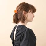 Alexandre de Paris Haarklammer INCARTADE 6cm ACCS 18436 03 O