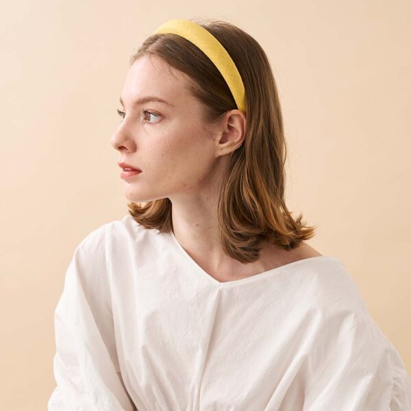 Alexandre de Paris Haarreif ÉNERGIE 2,5 cm THB25 1T P24 J (5)