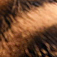 Beige-Schwarz Muster